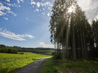 Ferienpark Neufchâteau Umgebung 19