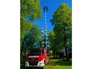 unser Baierbrunner Maibaum