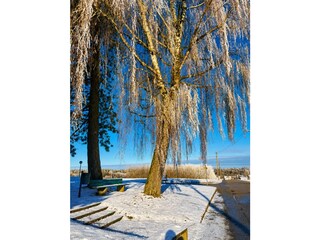 Wintertag