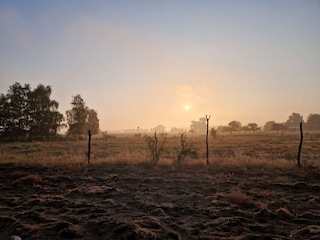 horse paddocks
