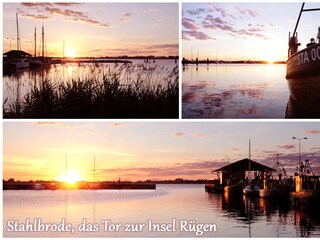 Stahlbrode Hafen Sonnenaufgang