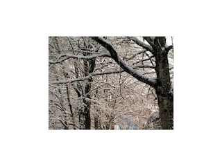Holiday house Castello Tesino Outdoor Recording 4