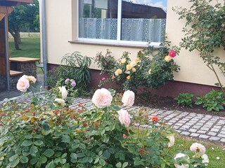 Rosenblick
