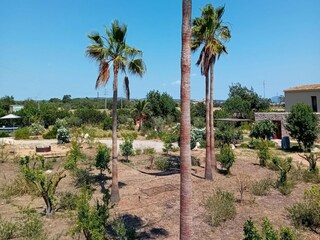 Casa de vacaciones Marratxí Grabación al aire libre 11