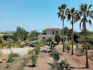 Casa de vacaciones Marratxí Grabación al aire libre 14
