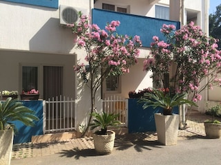 Apartment Rafailovici Außenaufnahme 3