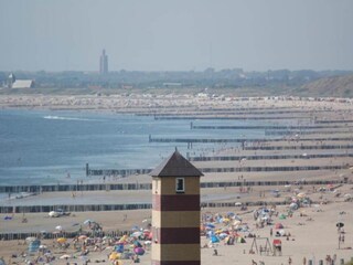 Apartment Dishoek Umgebung 24
