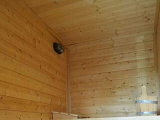 Holiday house Anjum Features 9