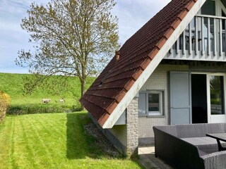 Ferienhaus Anjum Außenaufnahme 5