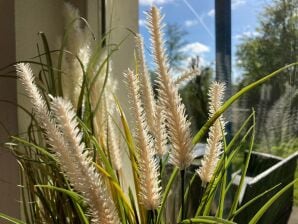 Ferienhaus 162 Grachthaus door Interhome