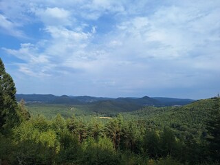 Aussichtspunkt  im Dahner Wald