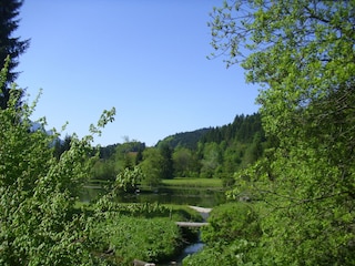 Natursee mit Bachlauf