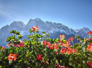 Ferienwohnung Alpspitze - Grainau - image1