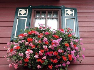 Vakantiehuis Pruggern Buitenaudio-opname 4