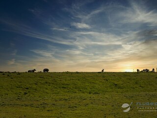 Appartamento per vacanze Hooksiel  25