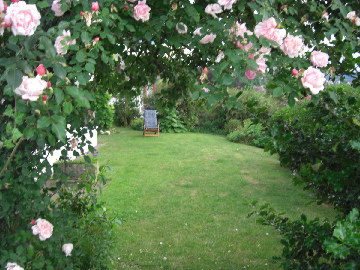 Garten mit Liegewiese