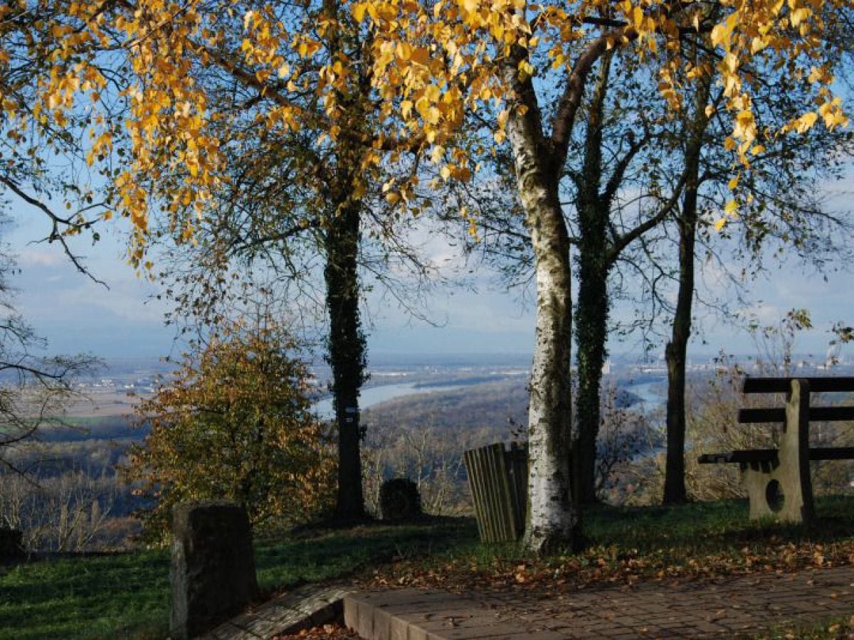 Blick in die Rheinebene