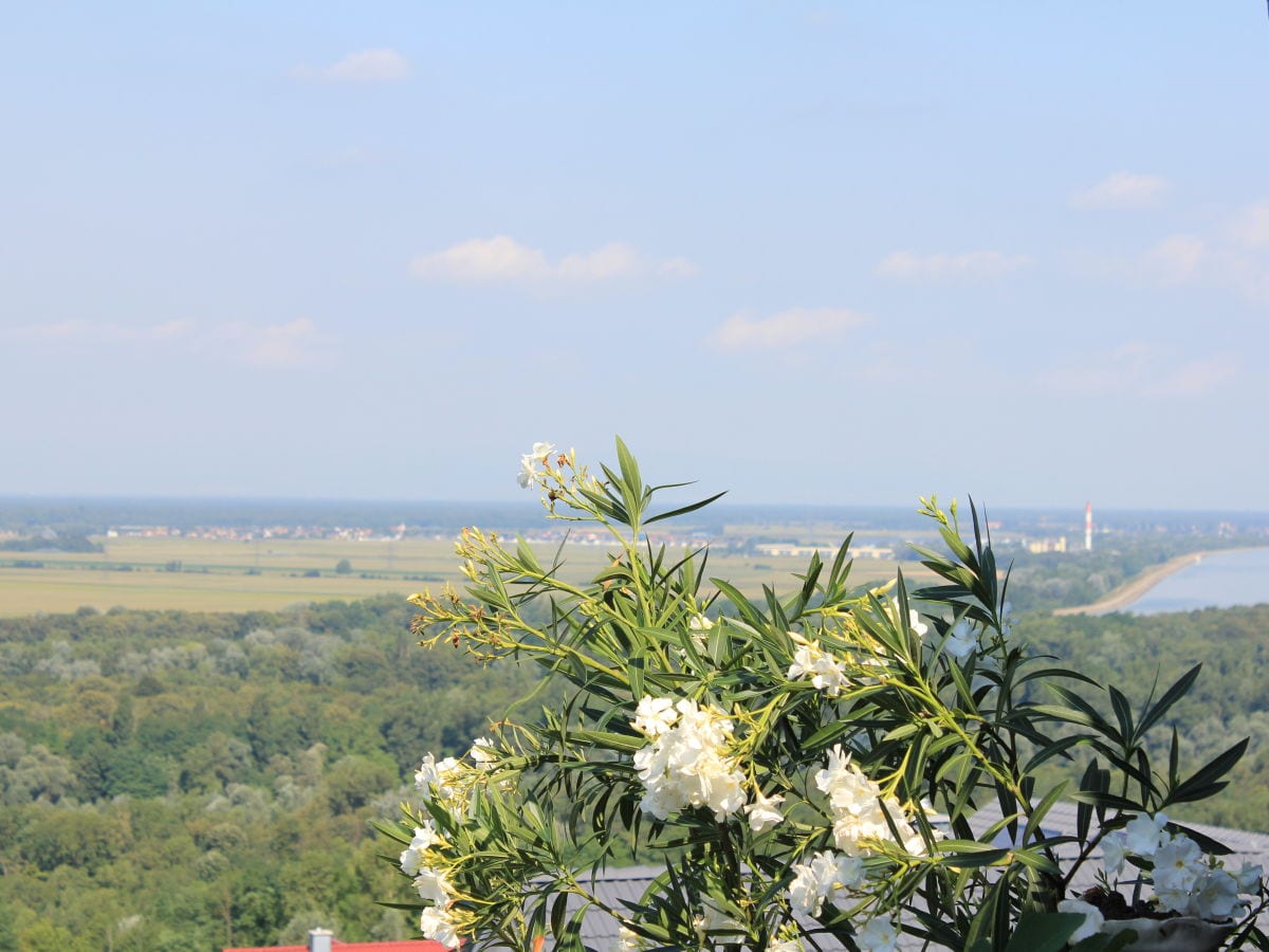 Blick vom Garten