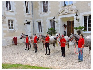 Château Saint Avit Enregistrement extérieur 11