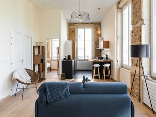 Apartment Lyon  10