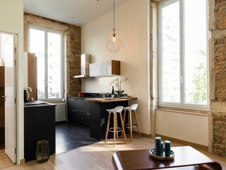 Apartment Lyon  12