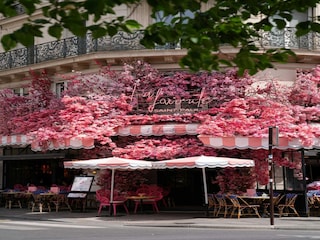 Apartment Paris  15