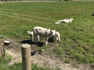 Casa per le vacanze Nordstrand Registrazione all'aperto 8