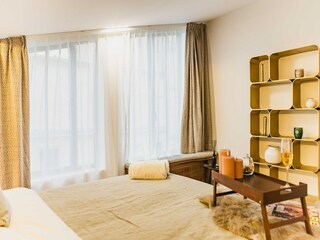 Apartment Paris  19