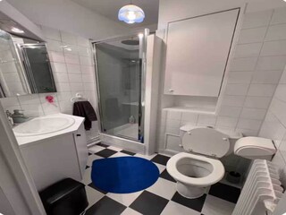Ferienhaus Paris  5