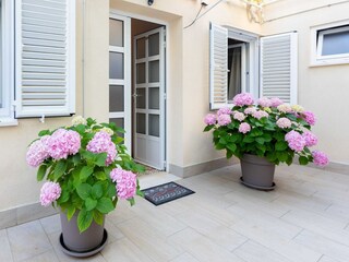 Apartment Dubrovnik  22