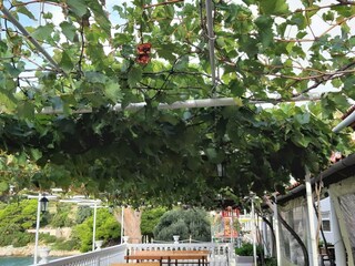 Appartamento Saplunara  10