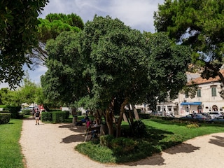 Appartement Dubrovnik  15