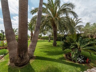 Tenuta Inca Registrazione all'aperto 12