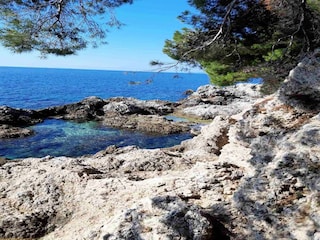 Appartement Mokošica  27
