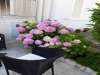 Apartment Mokošica Outdoor Recording 3