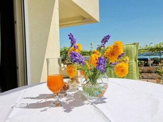 Apartment Drace Außenaufnahme 3