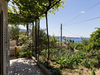 Appartement Mlini  18