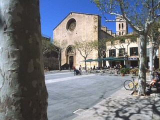 Tenuta Pollensa Ambiente 32