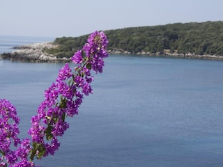 Appartamento Molunat Ambiente 36