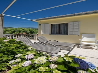 Appartement Molunat  12