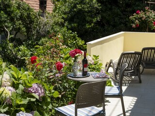 Apartment Molunat  13
