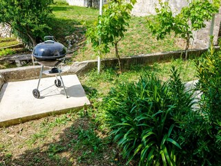 Apartment Cavtat  9