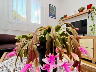 Apartment Kozarica Außenaufnahme 3