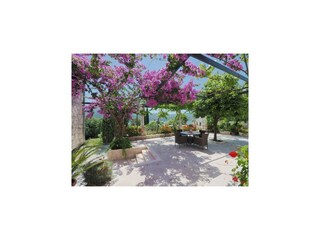 Appartement Šipanska Luka  7
