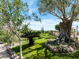 Tenuta Santa Margalida Registrazione all'aperto 10