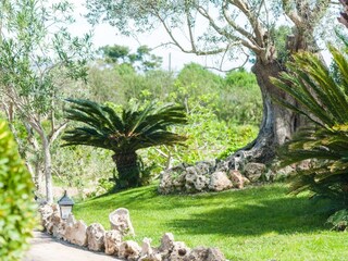 Finca Santa Margalida Entorno 31