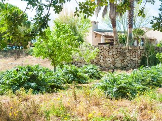Finca Santa Margalida Entorno 33