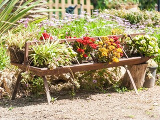 Tenuta Santa Margalida Ambiente 34