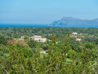 Finca Santa Margalida Entorno 35