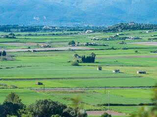 Finca Santa Margalida Entorno 36
